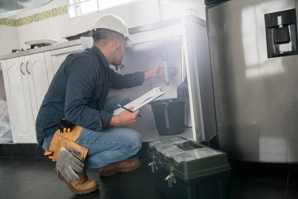 Best 24-Hour Plumber Near Me  in Davis Junction, IL