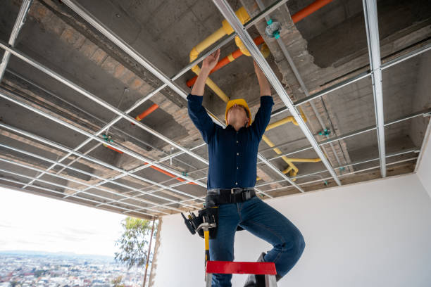 Best Pipe Repair Near Me  in Davis Junction, IL