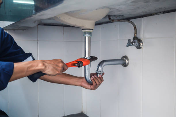 Best Water Softener Installation  in Davis Junction, IL