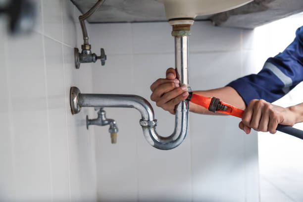 Best Drain Cleaning Services  in Davis Junction, IL