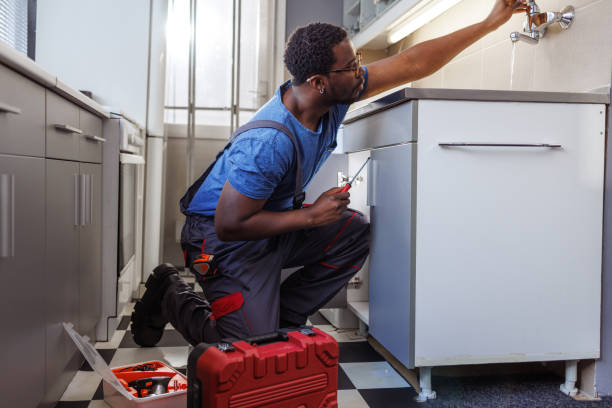 Best Sewer Cleaning Services  in Davis Junction, IL