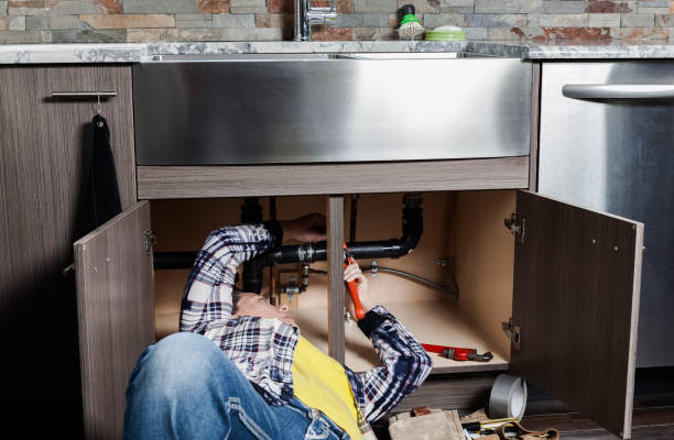 Best Plumbing Installation Services  in Davis Junction, IL