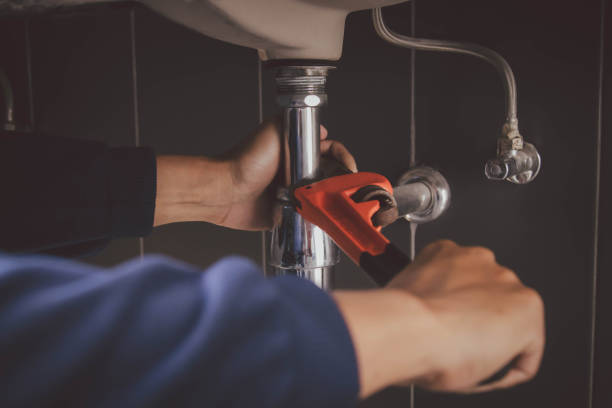 Best Gas Line Repair  in Davis Junction, IL